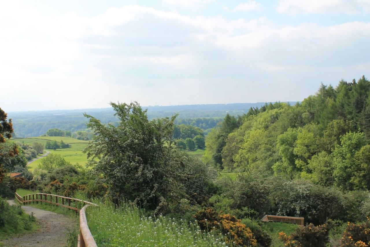 ריצ'מונד Yorkshire Dales Lodge 10 Ensuite מראה חיצוני תמונה